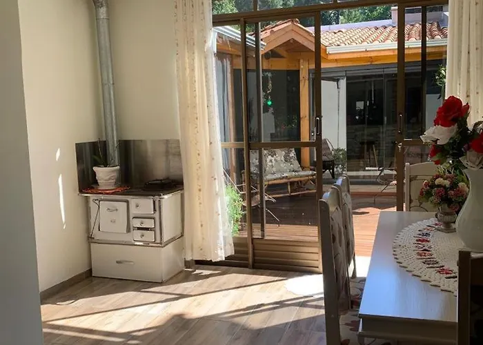 Apartamento No Centro Proximo A Mercado, Farmacia E Padaria